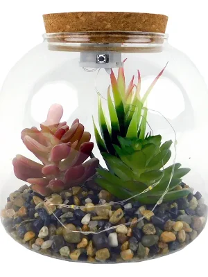 PROHOME - Sukulent ve skle 15x15x15cm LED Koupit Online