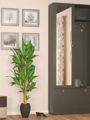 Předsíňová stěna PALERMO wenge tmavý Nízká Cena