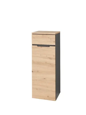 Ověřený Skříňka Benin 13, dub artisan/grafit
