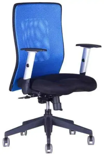 Must-Have Kancelářská židle Calypso XL
