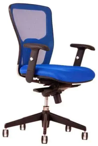Must-Have Kancelářská židle Dike BP
