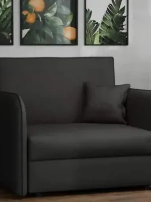 Nejlepší Cena Rozkládací křeslo Vivian Loft I Mono 248 černá