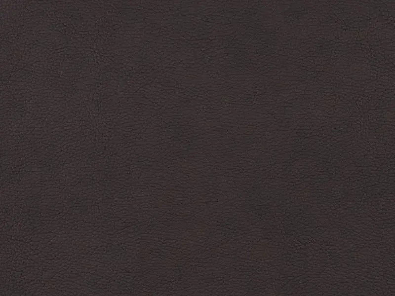 Koženka Gibson 9903 Značkový