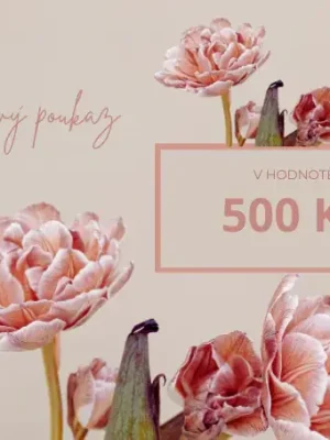 Dárkový poukaz v hodnotě 500 Kč Poslední Šance