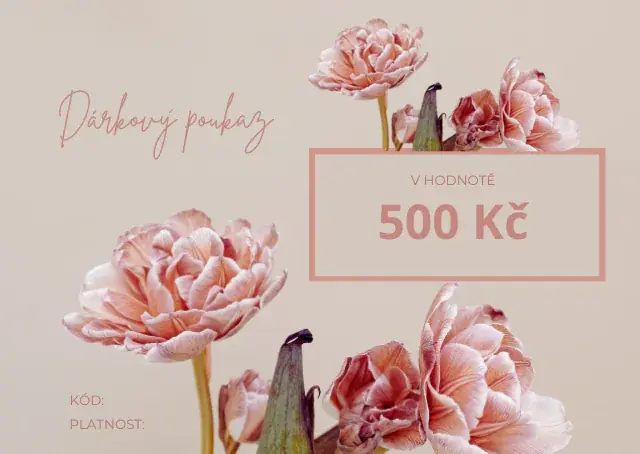 Dárkový poukaz v hodnotě 500 Kč Poslední Šance