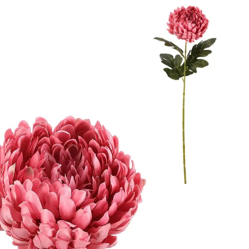 Zlevněný Chryzantéma růžová KUW010 PINK